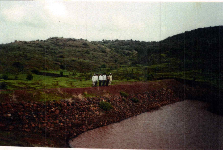 Tree plantation